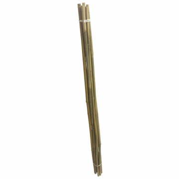 Set 10 araci din bambus Strend Pro Premium, lungime 2100mm, diametru 14-16 mm